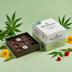 CBD Edibles Packaging