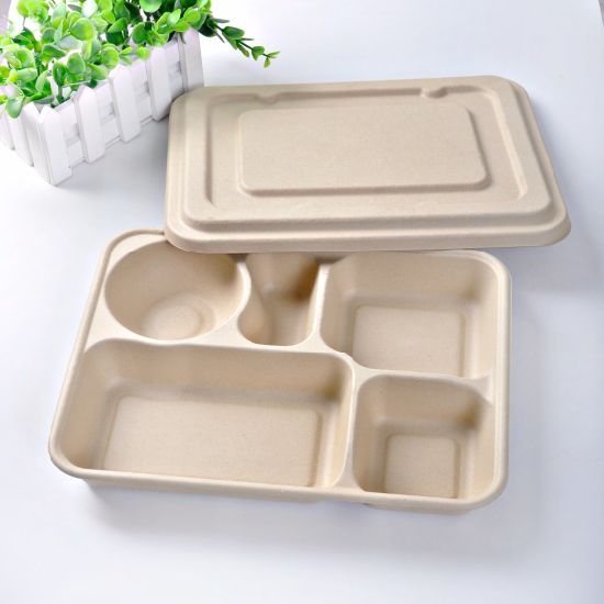 Custom Design Food Boxes with Divid
